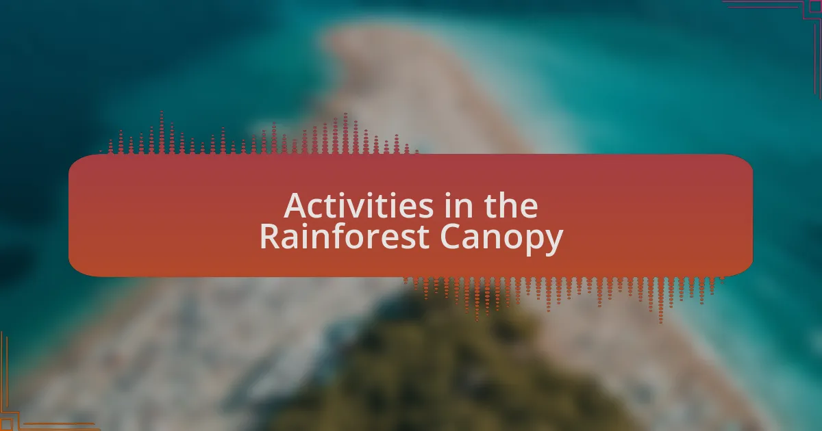 Activities in the Rainforest Canopy