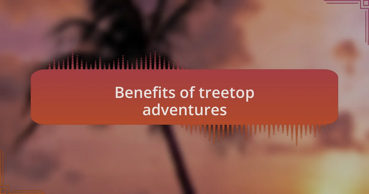 Benefits of treetop adventures