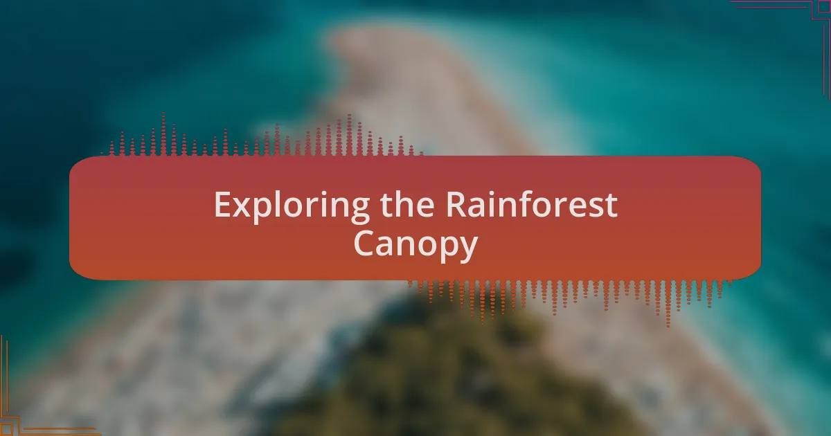 Exploring the Rainforest Canopy