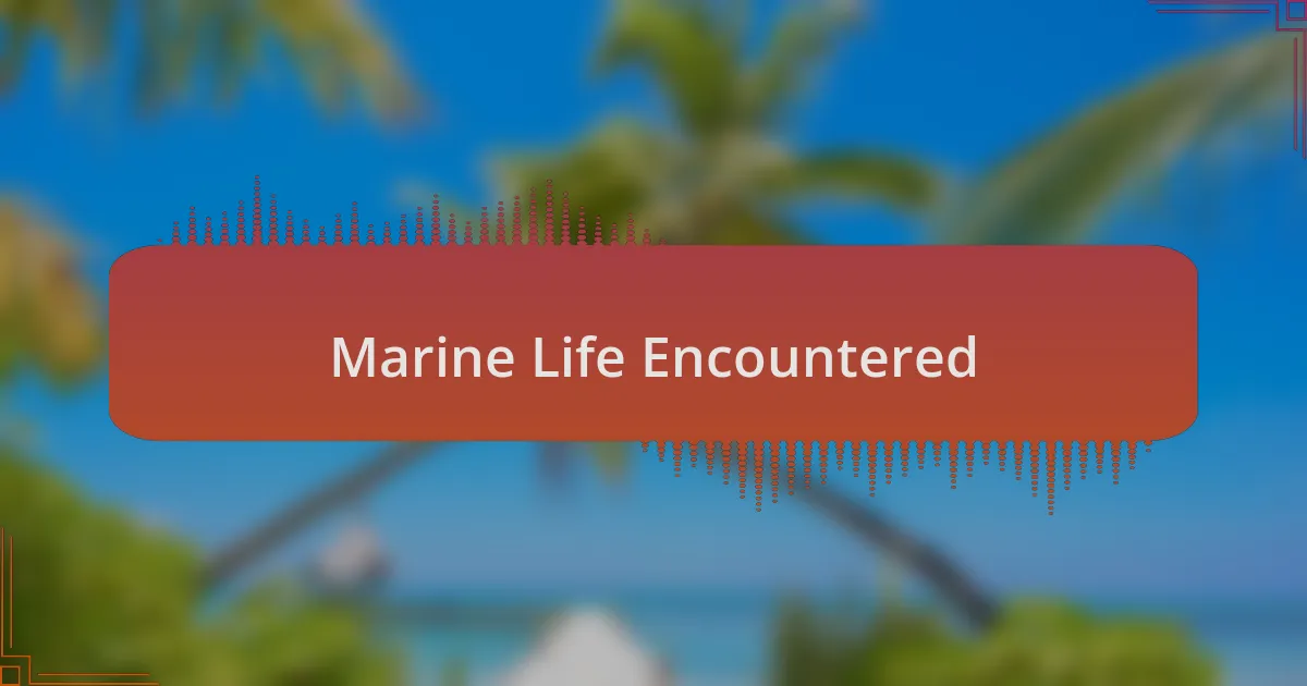 Marine Life Encountered