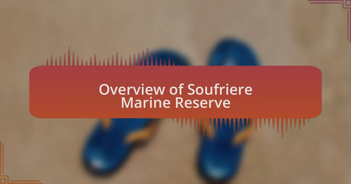 Overview of Soufriere Marine Reserve