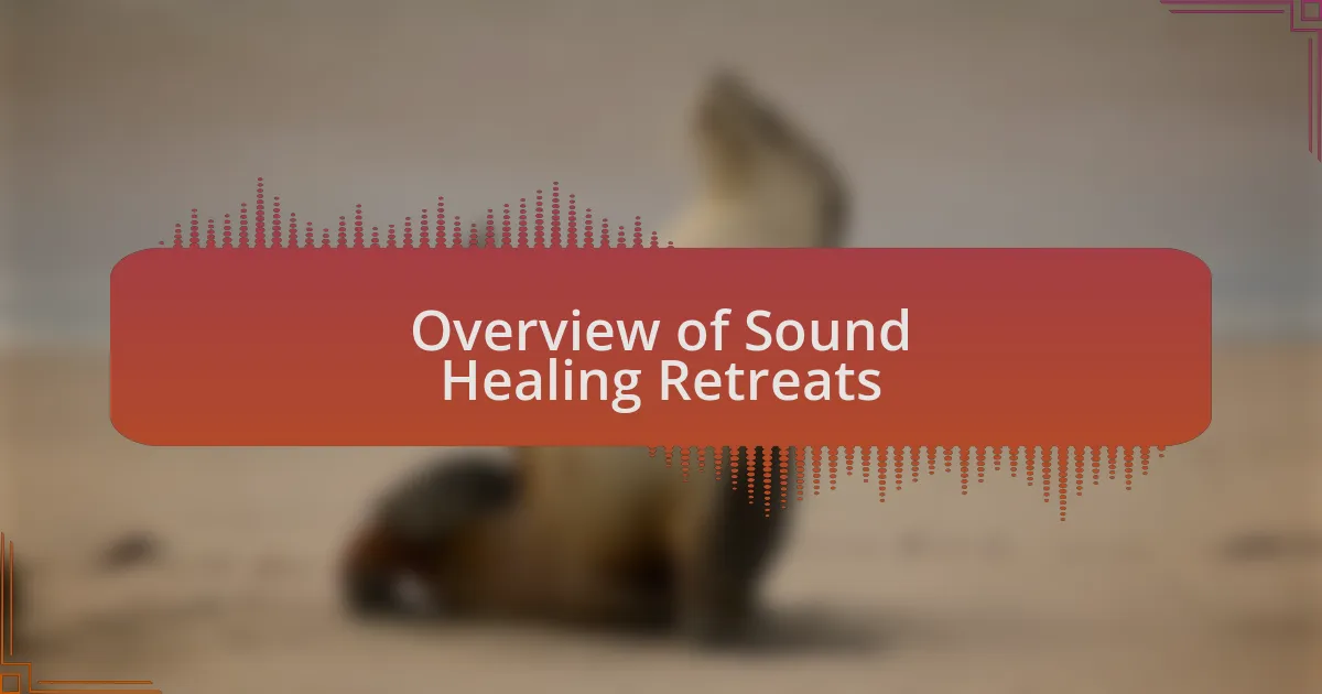Overview of Sound Healing Retreats
