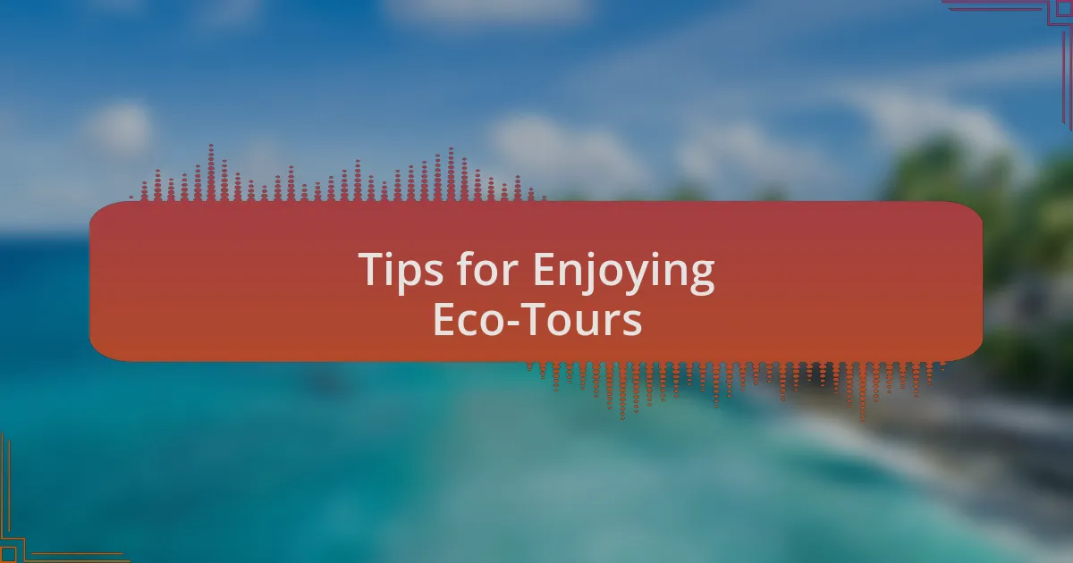 Tips for Enjoying Eco-Tours
