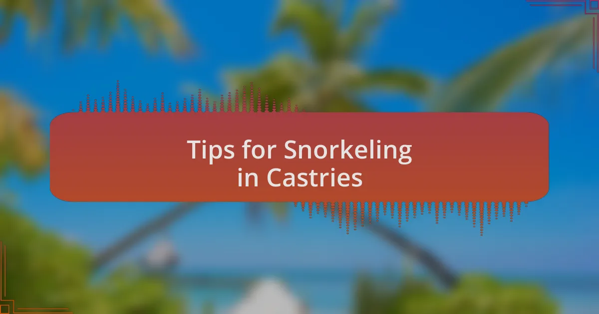 Tips for Snorkeling in Castries