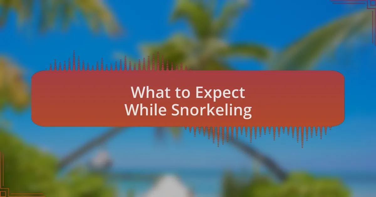 What to Expect While Snorkeling